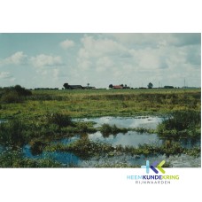 Bergh Hoofdseveer Pannerden Coll. T.Smeenk (11)
